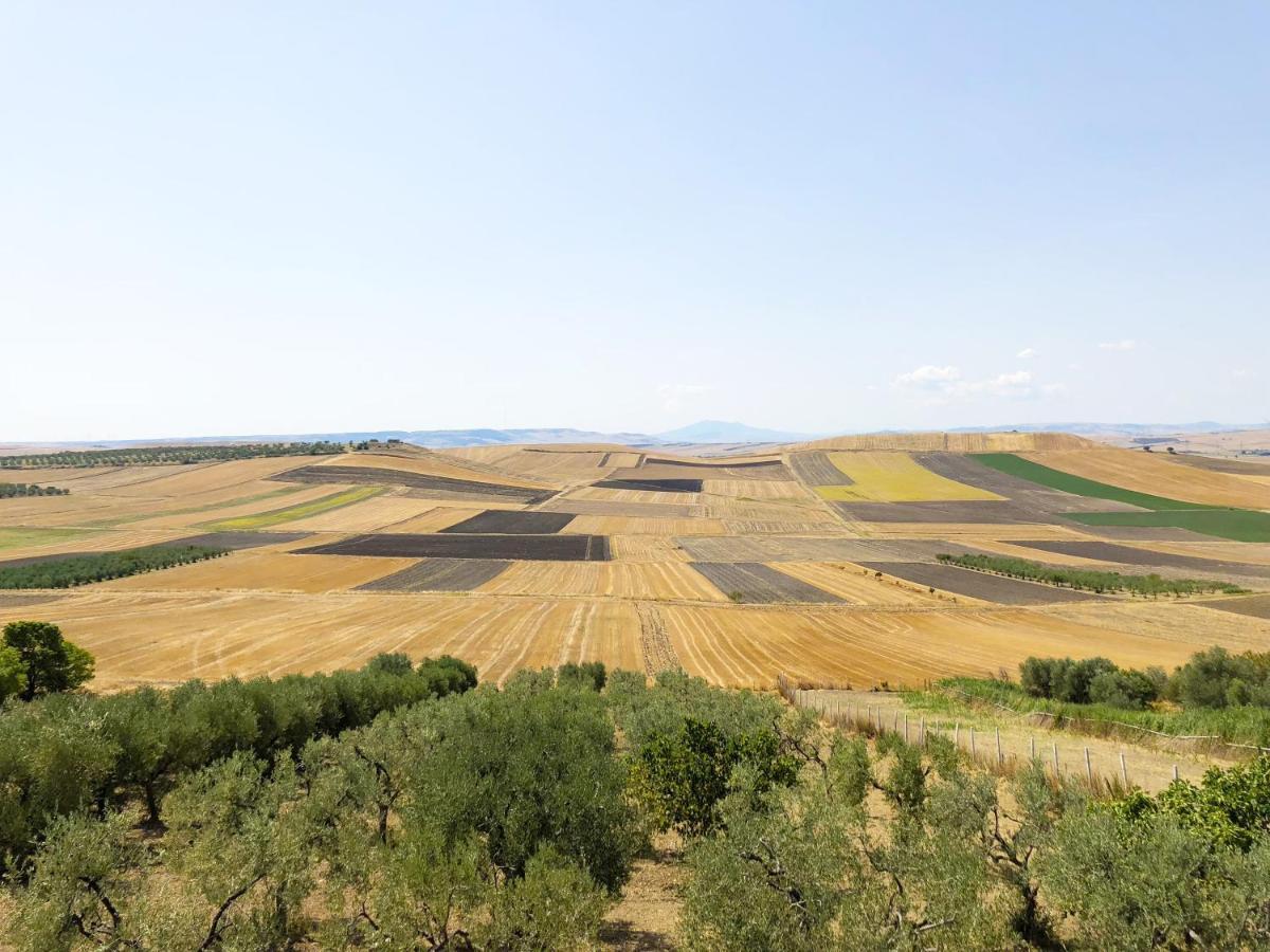 Апартаменты Ca Dei Sauri - Taste Of Puglia Castelluccio dei Sauri Экстерьер фото